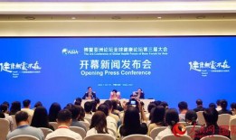 博鳌论坛爆料新闻事件,重大新闻事件引发热议