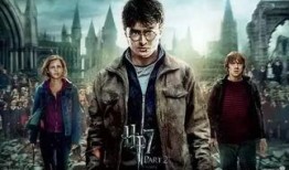 哈利玫瑰爆料视频大全,视频大全揭秘幕后真相